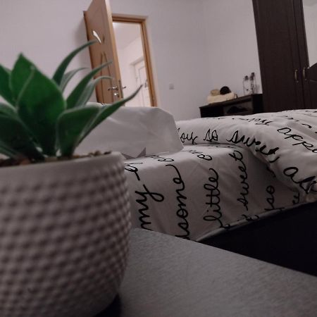 Casa Anastasiei บราชอฟ ภายนอก รูปภาพ